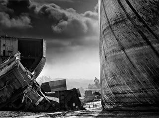 David Yarrow, Antz, 2024 contemporary Works on Paper by the British Artist.