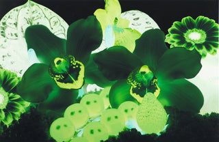 Marc Quinn, At the Far Edges of the Universe #7, 2010 contemporary Print by the British Artist.