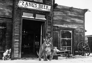 David Yarrow, The Landlord, 2015 contemporary Print by the British Artist.