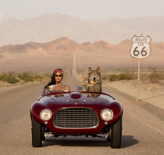 David Yarrow, Ferrari (Colour), 2023 contemporary Print by the British Artist.