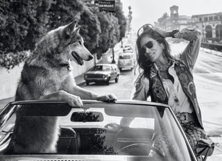 David Yarrow, The Fox and Hound, 2022 contemporary Print by the British Artist.