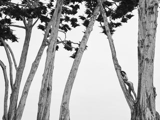 Russell James, Kendall in Treetops Santa Barbara 2018, 2018 contemporary Works on Paper by the Australian Artist.