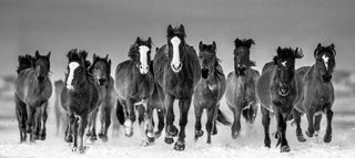 David Yarrow, The Rolling Stones, 2023 contemporary Print by the British Artist.