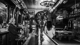 David Yarrow, The Wolf of Main St III, 2017 contemporary Print by the British Artist.