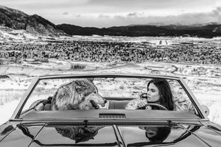 David Yarrow, Indecent Proposal, 2020 contemporary Print by the British Artist.