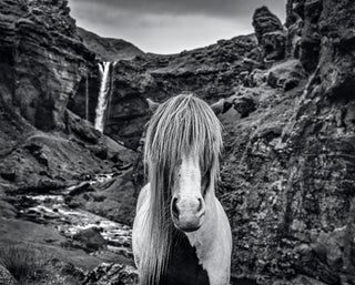 David Yarrow, GOT, 2020 contemporary Print by the British Artist.