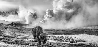 David Yarrow, In the Beginning, 2026 contemporary Print by the British Artist.