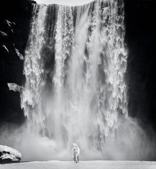 David Yarrow, Norse, 2022 contemporary Print by the British Artist.