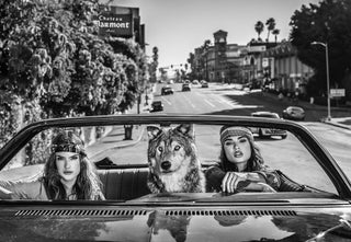 David Yarrow, Castle on Sunset, 2019 contemporary Print by the British Artist.