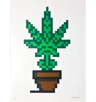Invader, Hollyweed (Brown Edition), 2018 contemporary Print by the French Artist.