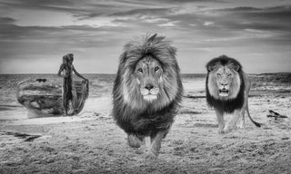 David Yarrow, The Old Man and The Sea, 2022 contemporary Print by the British Artist.