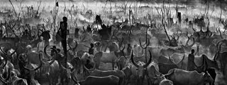 David Yarrow, Mankind II, 2014 contemporary Print by the British Artist.