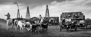David Yarrow, Cattle and Oil, 2025 contemporary Print by the British Artist.
