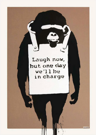 Laugh Now