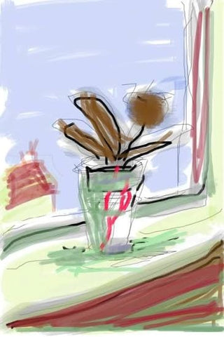 My Bedroom Window