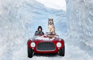 David Yarrow, 1953 (Colour), 2024 contemporary Print by the British Artist.