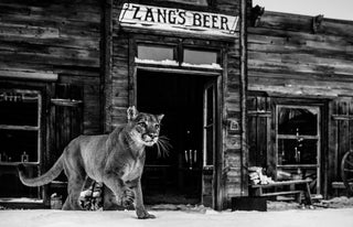 David Yarrow, It's Closing Time, 2015 contemporary Print by the British Artist.