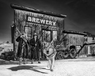 David Yarrow, Something’s Brewing, 2019 contemporary Print by the British Artist.