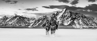 David Yarrow, Wyoming, 2021 contemporary Print by the British Artist.