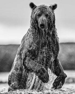 David Yarrow, Backcountry, 2025 contemporary Print by the British Artist.