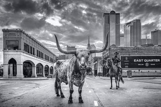 David Yarrow, A Dallas Cowboy, 2020 contemporary Print by the British Artist.