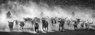 David Yarrow, Lonesome Dove, 2024 contemporary Print by the British Artist.