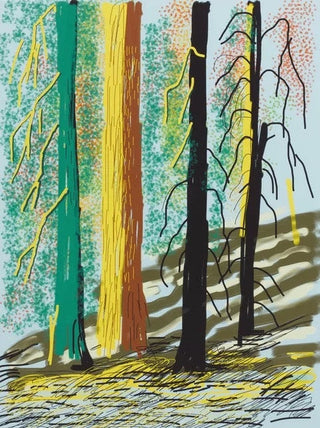 David Hockney, Untitled No. 7 from "The Yosemite Suite", 2010 contemporary Print by the British Artist.