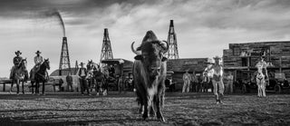 David Yarrow, Bison Oil and Gas, 2025 contemporary Print by the British Artist.