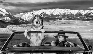 David Yarrow, Montana, 2023 contemporary Print by the British Artist.