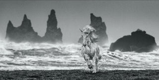 David Yarrow, White Horses, 2018 contemporary Print by the British Artist.