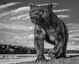 David Yarrow, Fisher King, 2017 contemporary Print by the British Artist.