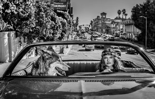 David Yarrow, Chateau Marmont, 2019 contemporary Print by the British Artist.