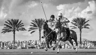 David Yarrow, Wellington, 2025 contemporary Print by the British Artist.