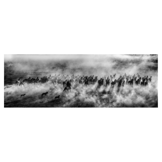 One Hundred Horses
