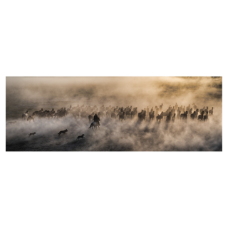 One Hundred Horses (Colour)