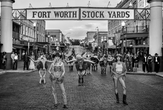 David Yarrow, All Nighter in Cowtown, 2024 contemporary Print by the British Artist.