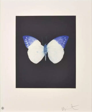Damien Hirst, Butterfly (Life), 2009 contemporary Print by the British Artist.