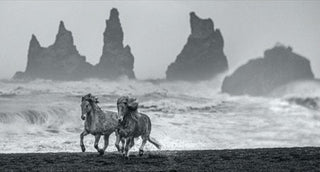 David Yarrow, Wild Horses, 2018 contemporary Print by the British Artist.