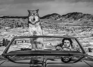 David Yarrow, The Richest Hill In The World, 2020 contemporary Print by the British Artist.