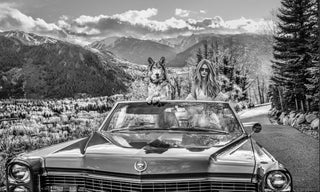 David Yarrow, Spring in Aspen, 2026 contemporary Print by the British Artist.