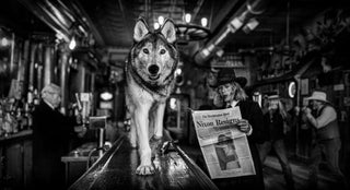 David Yarrow, Watergate, 2023 contemporary Print by the British Artist.
