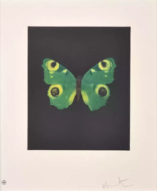 Damien Hirst, Butterfly (Fate), 2009 contemporary Print by the British Artist.