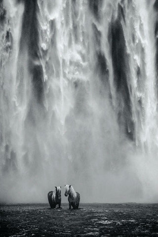 David Yarrow, The Dream, 2018 contemporary Print by the British Artist.