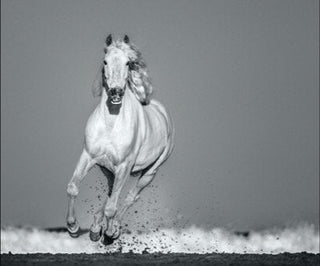 David Yarrow, Pegasus, 2020 contemporary Print by the British Artist.