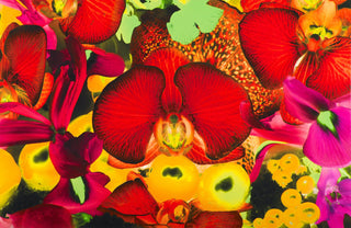 Marc Quinn, At the Far Edges of the Universe #2, 2010 contemporary Print by the British Artist.