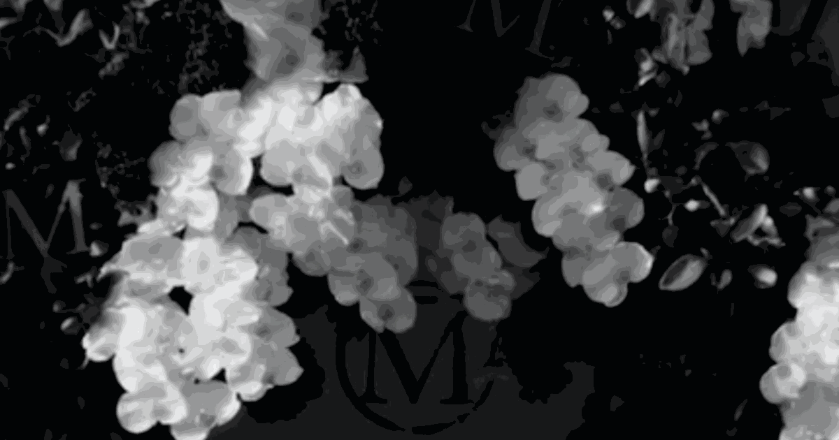 Maddox Gallery