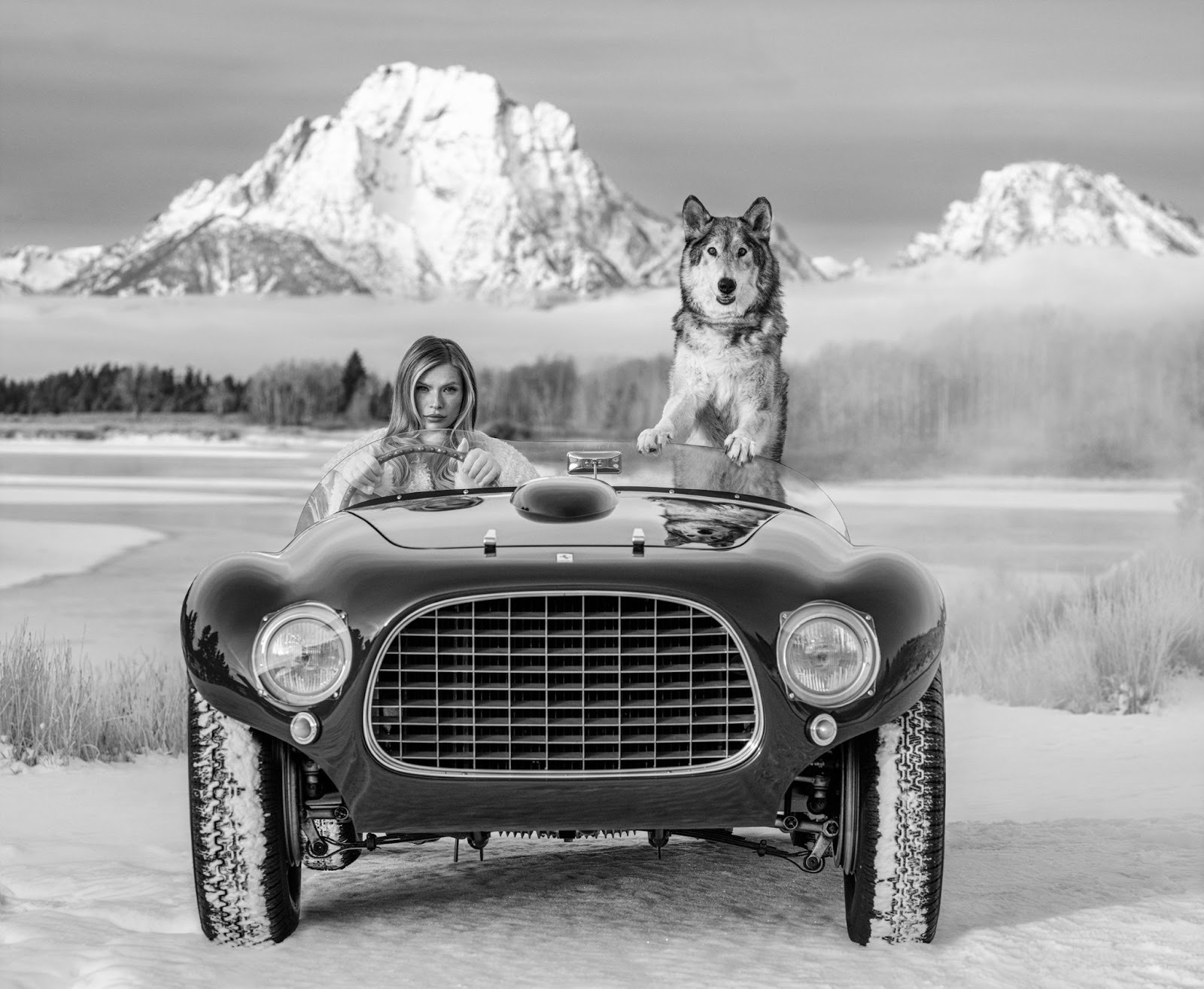A woman and a wolf pose for a David Yarrow photo in a convertible with snowy mountains behind in &lsquo;The White Lady,&rsquo; an excellent choice when collecting art as an investment.